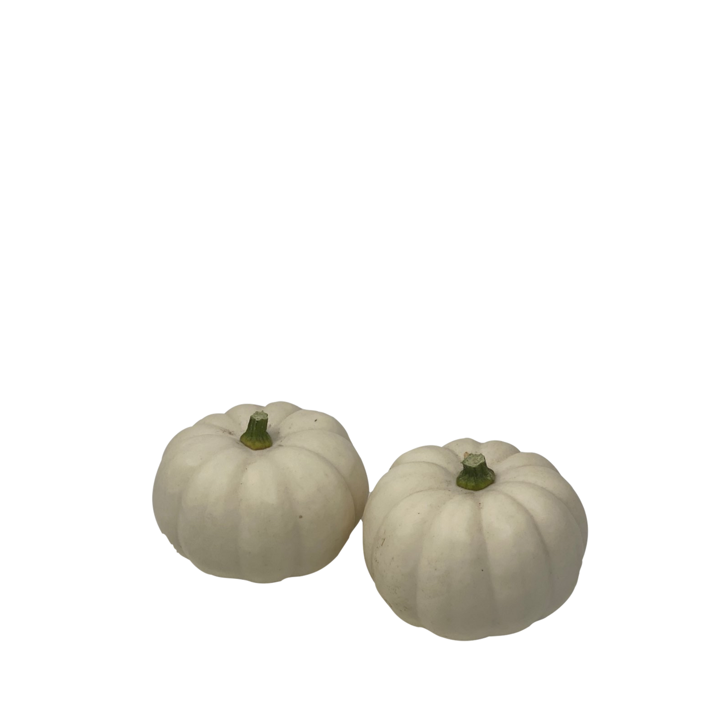 Mini Citrouille Blanche - Baby Boo