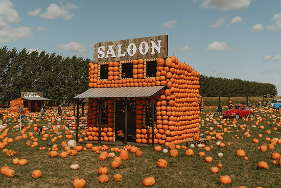 le plus original des villages de citrouilles